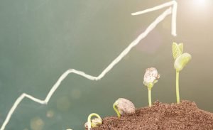 Business Growth